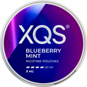 XQS Blueberry Mint Strong Slim
