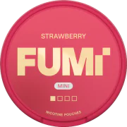 FUMi Strawberry Mini Regular